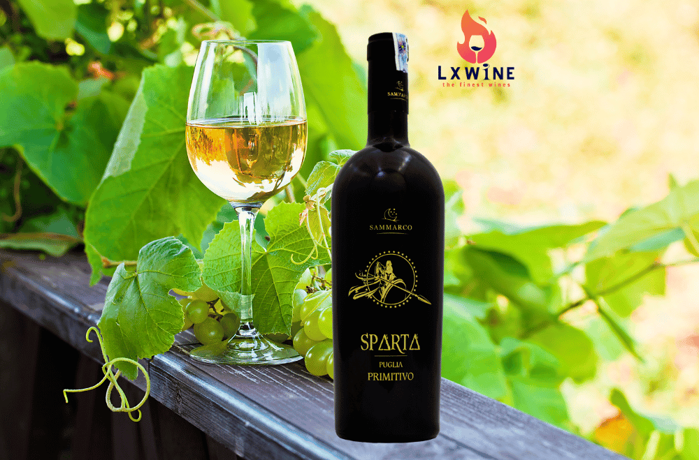 vang-y-sparta-19-do-puglia-primitivo
